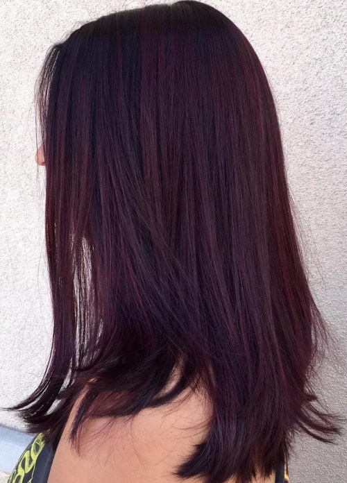 Dark Burgundy And Violet Hair
