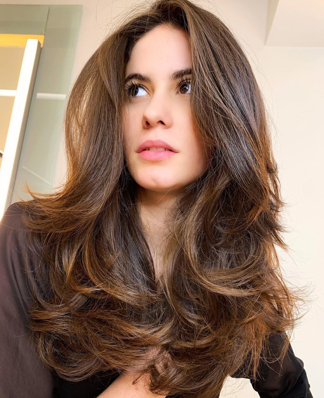 Long Chocolate Brown Hair with Butterfly Layers